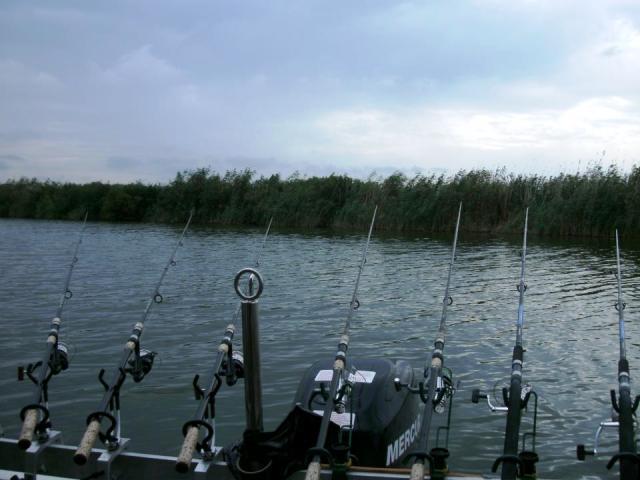 delta rosu 2012 - 541264.jpg